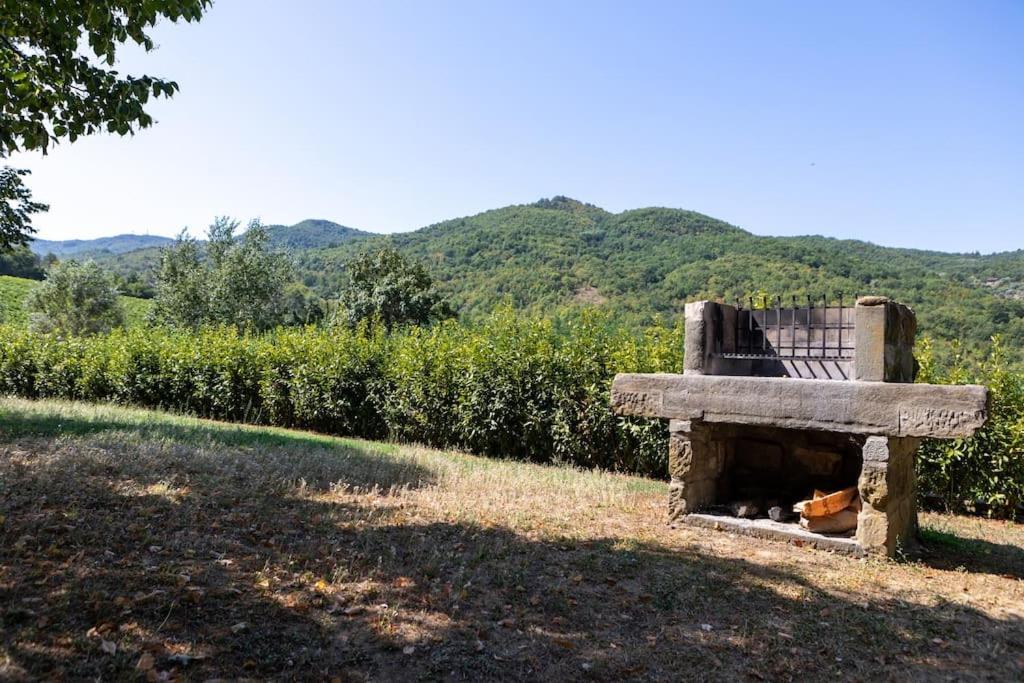 Fienile Panoramico Nel Chianti Villa Greve in Chianti Eksteriør billede